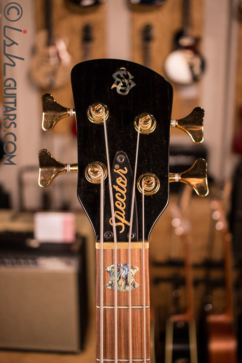 NAMM Spector NS-2 Water Cured Redwood Gloss Bass Guitar