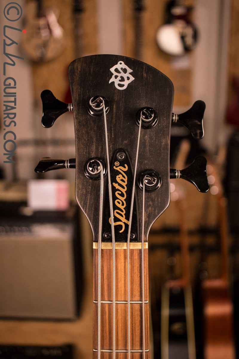 NAMM Spector CTB Hollow Body Bass Guitar