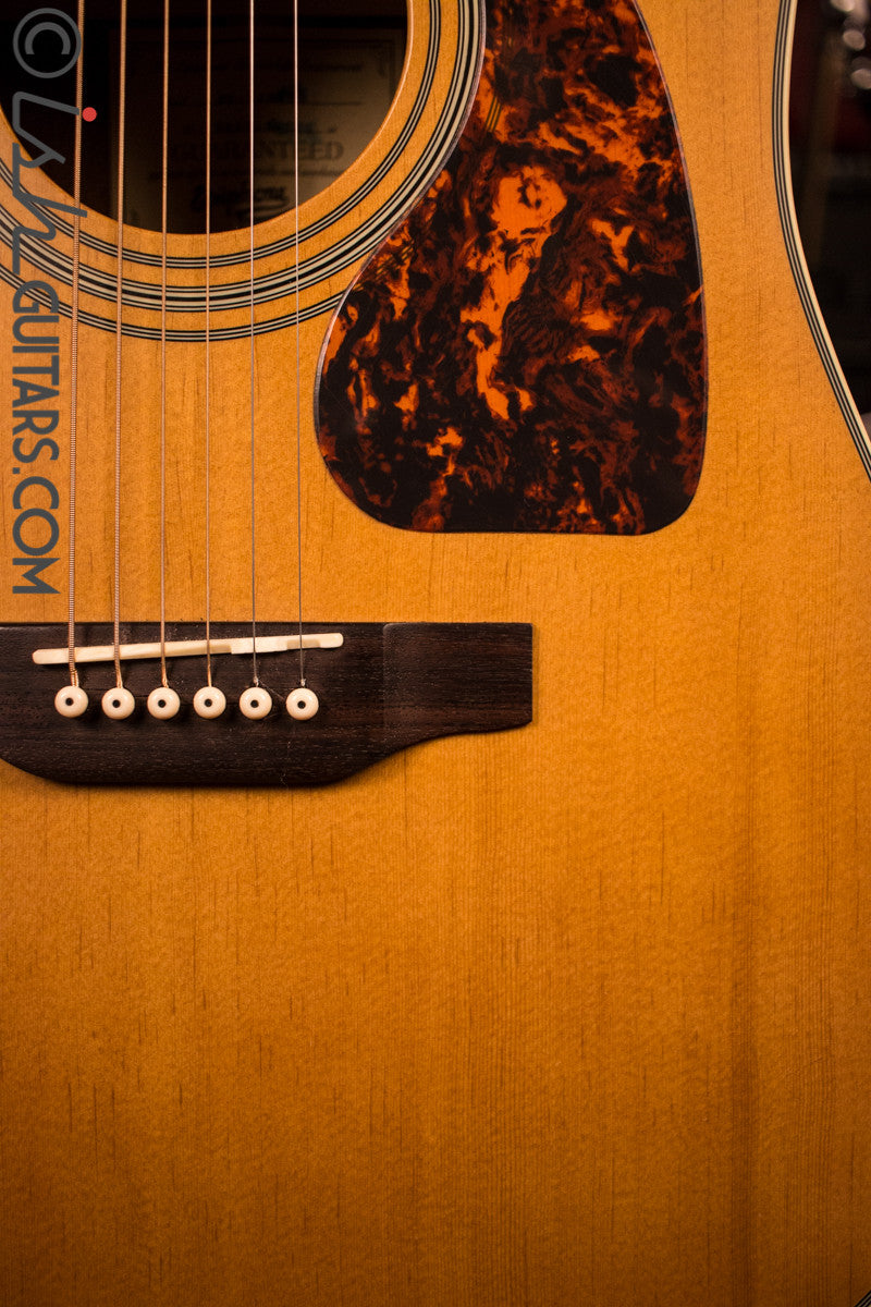 Epiphone Masterbuilt Acoustic DR-500MNS