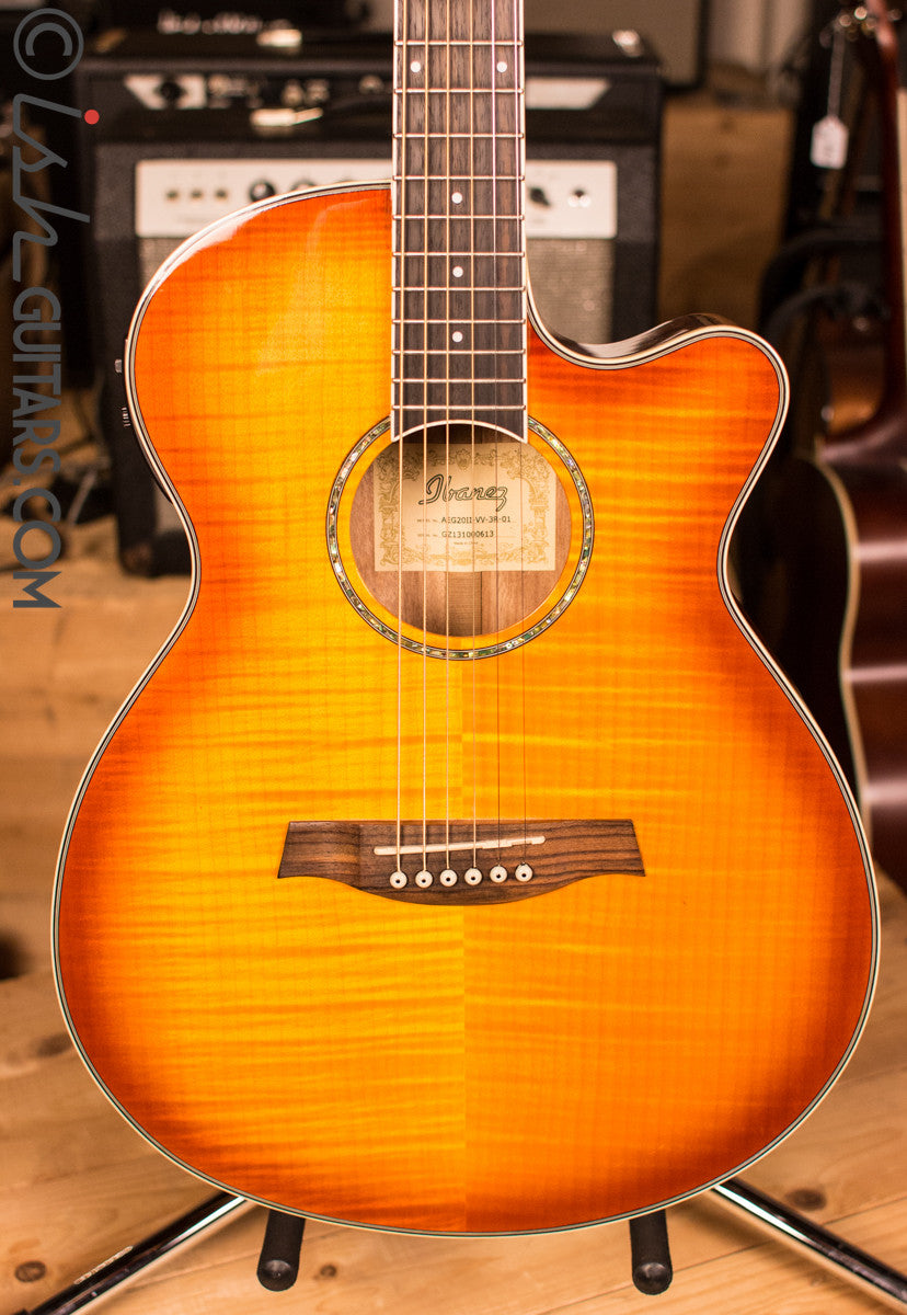 Ibanez Acoustic Electric Guitar [Used]