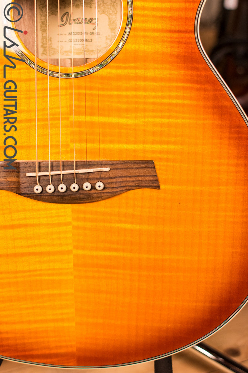 Ibanez Acoustic Electric Guitar [Used]