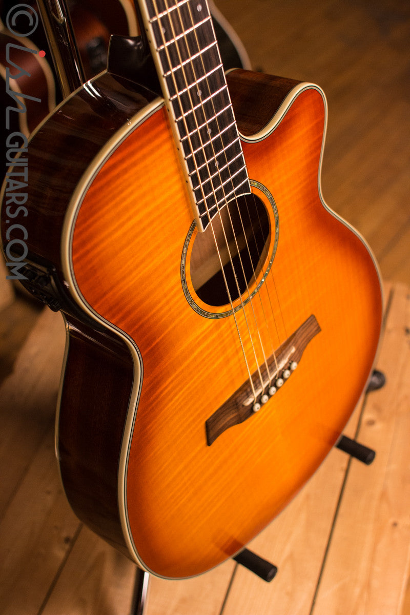 Ibanez Acoustic Electric Guitar [Used]
