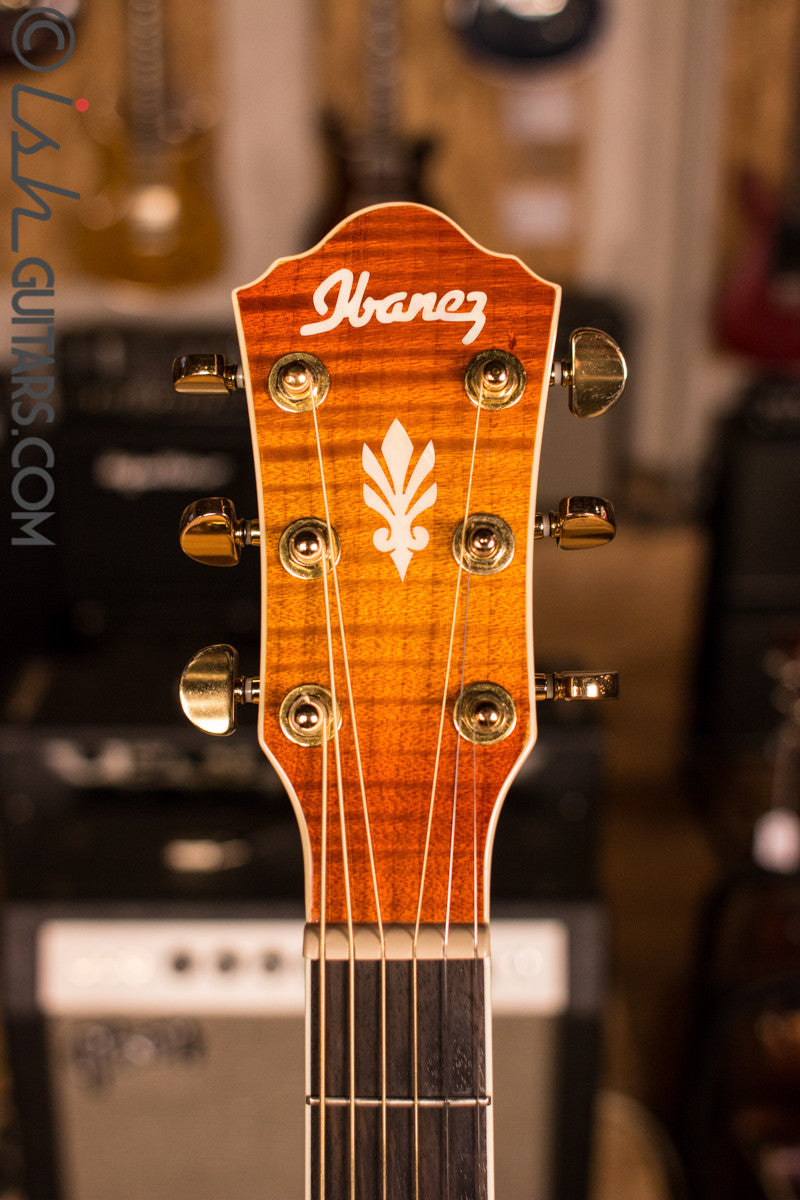 Ibanez Acoustic Electric Guitar [Used]