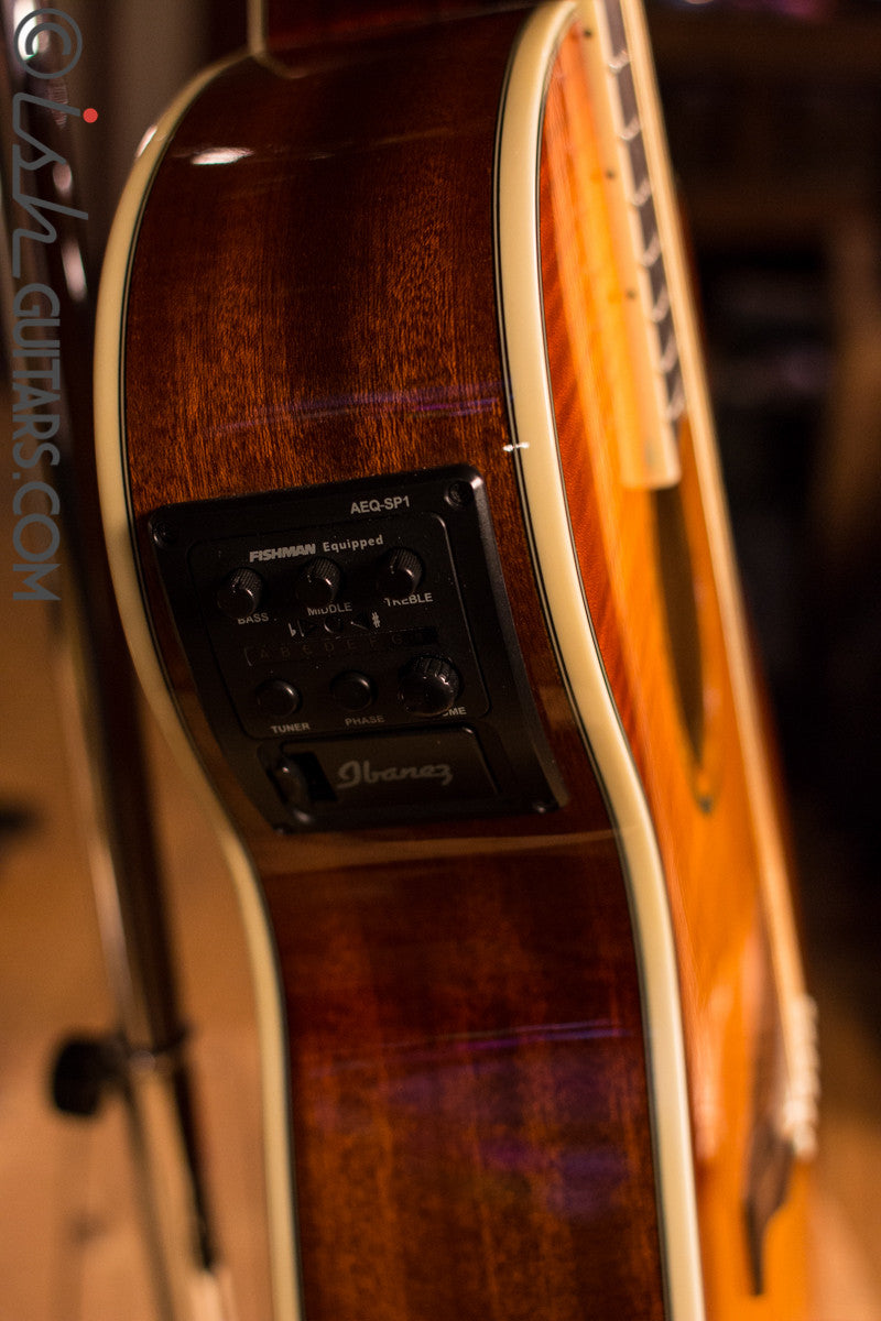 Ibanez Acoustic Electric Guitar [Used]