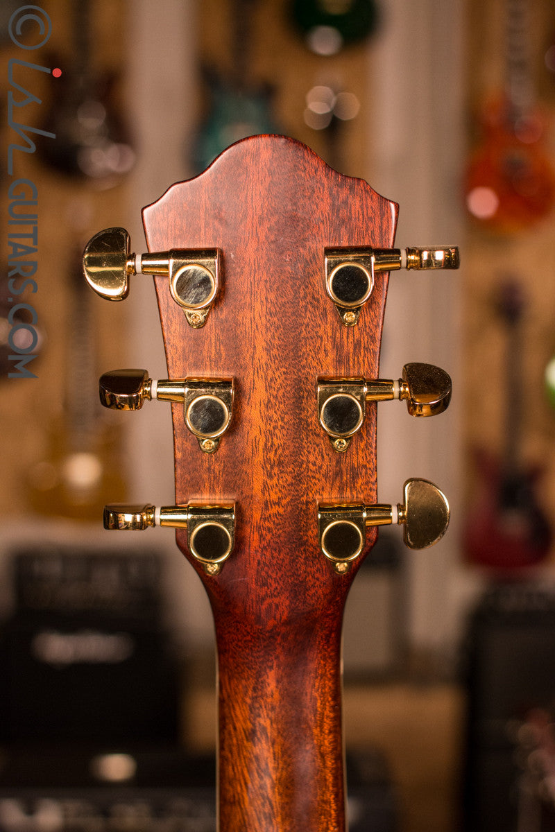 Ibanez Acoustic Electric Guitar [Used]