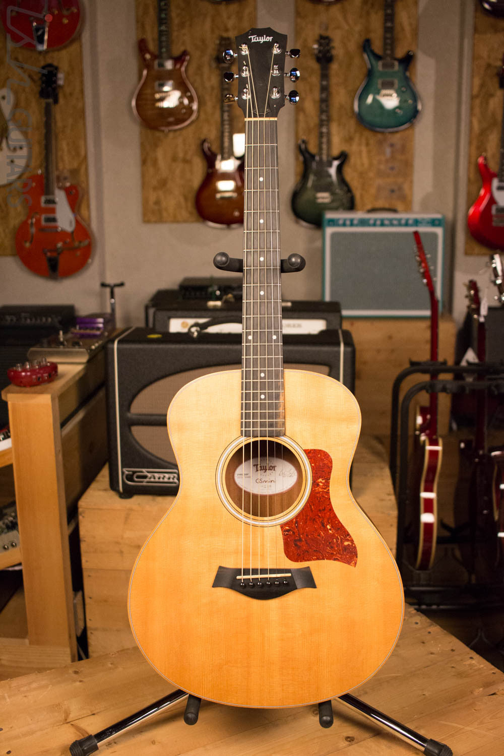Taylor GS Mini