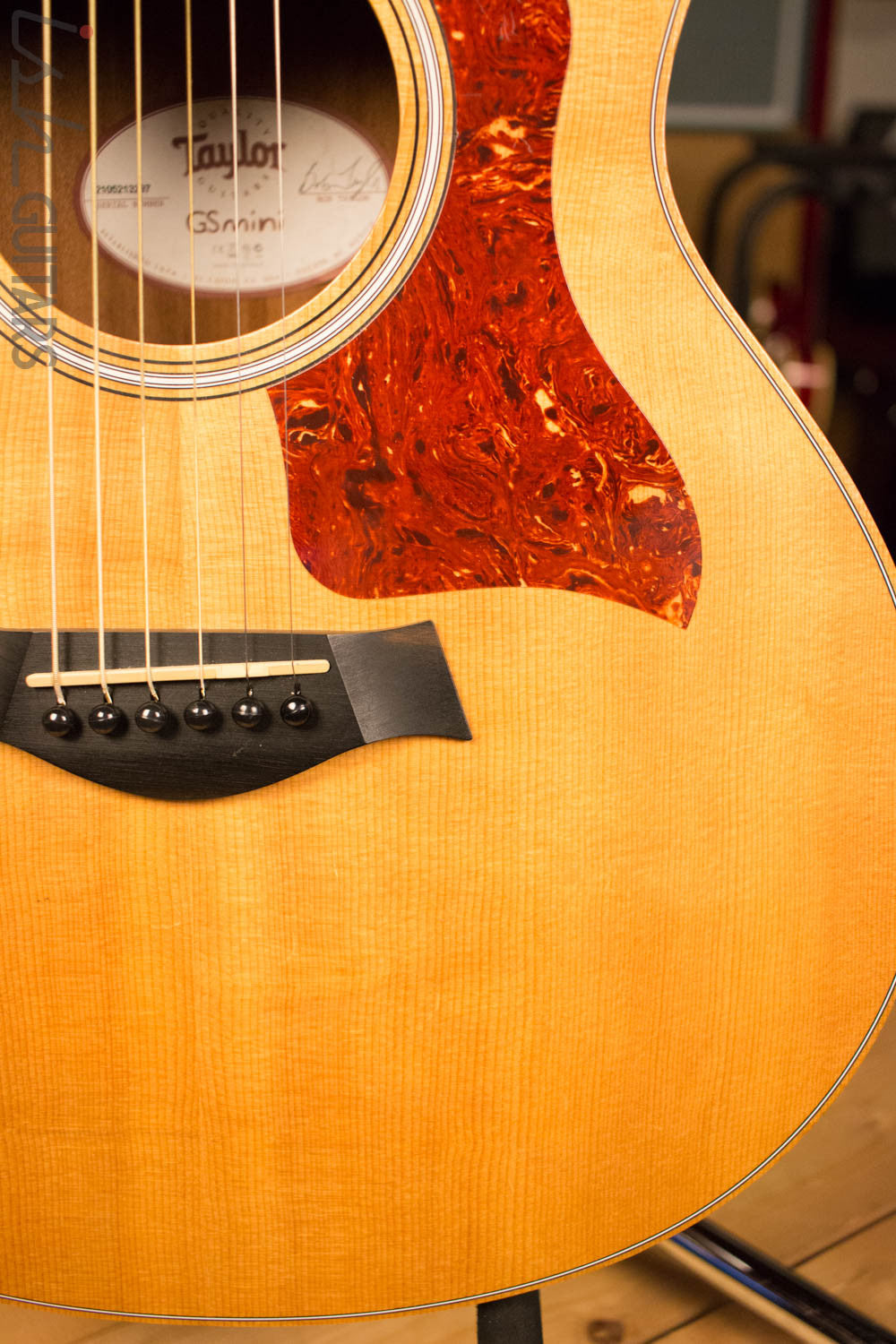Taylor GS Mini