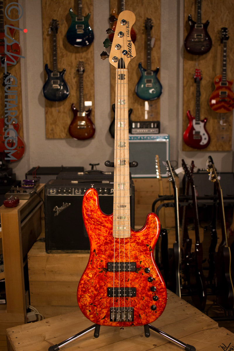 USA Spector Coda Deluxe P Precision Bass Inferno Red Buckeye Burl