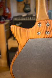 Andreas Guitars Feirce Shark Aluminum Fretboard Rare