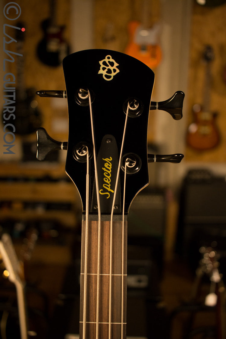 Spector Spectorcore 4 String Fretless Bass Guitar – Ish Guitars