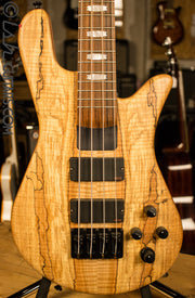 USA Spector NS-4H2 Spalted Maple
