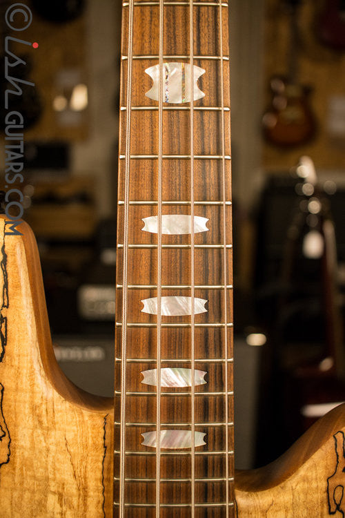 USA Spector NS-4H2 Spalted Maple