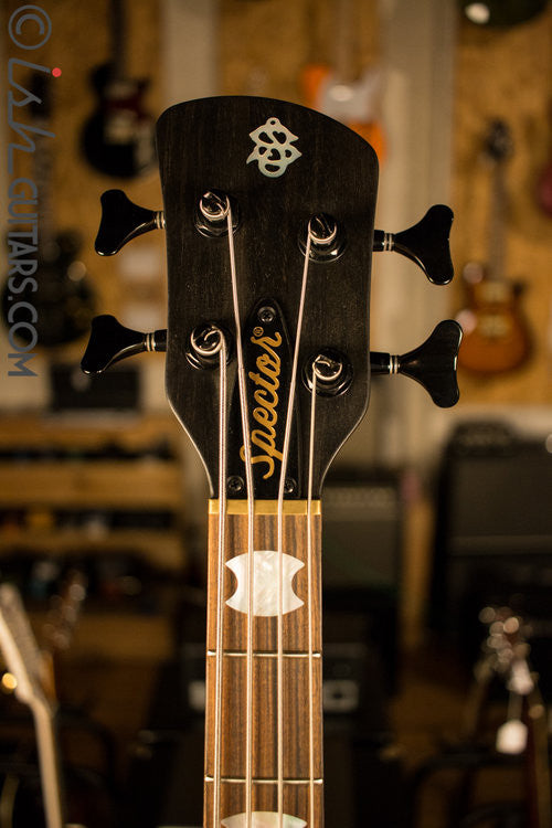 USA Spector NS-4H2 Spalted Maple