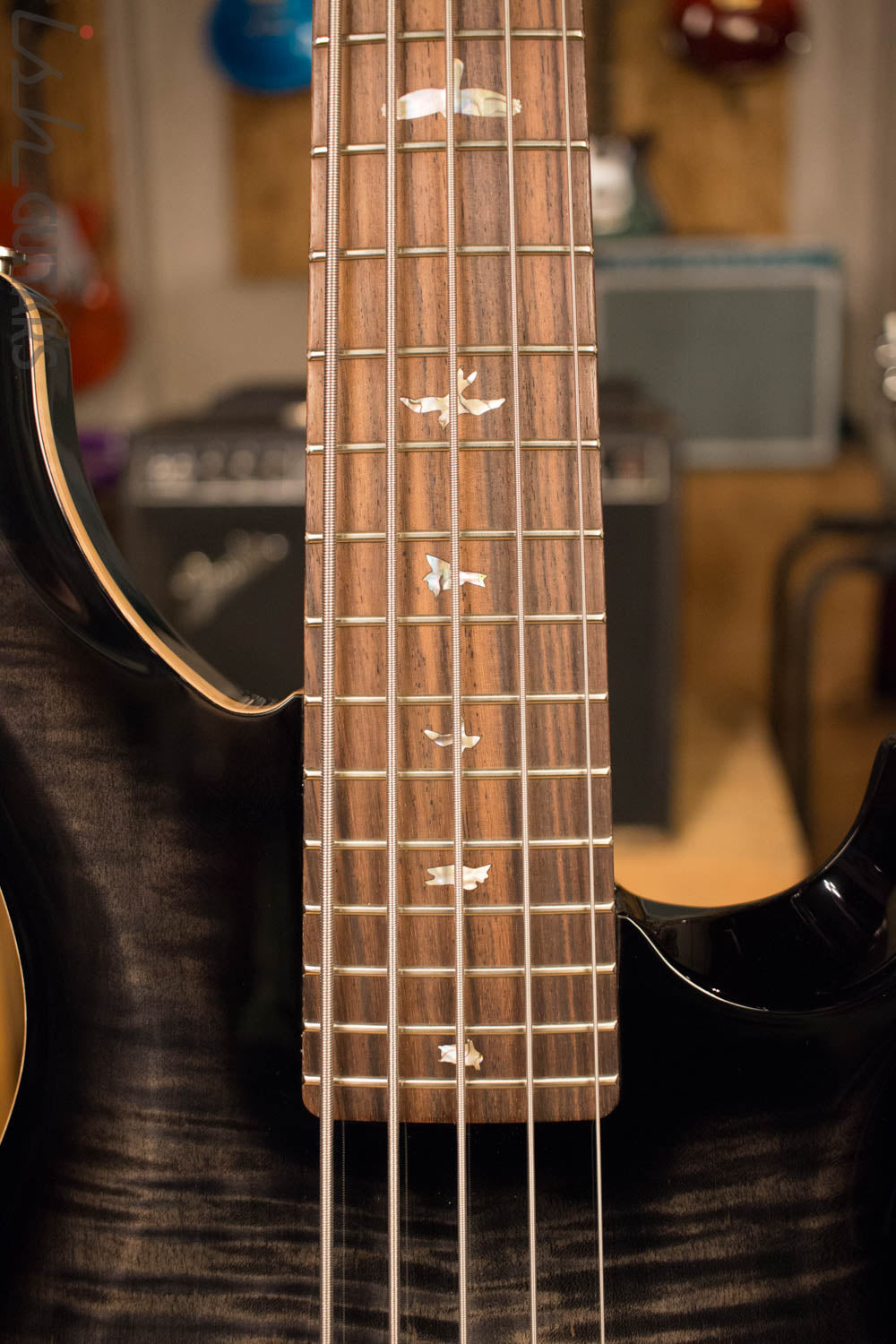 PRS Gary Grainger 5-String Electric Bass Guitar Rosewood Non 10 Top