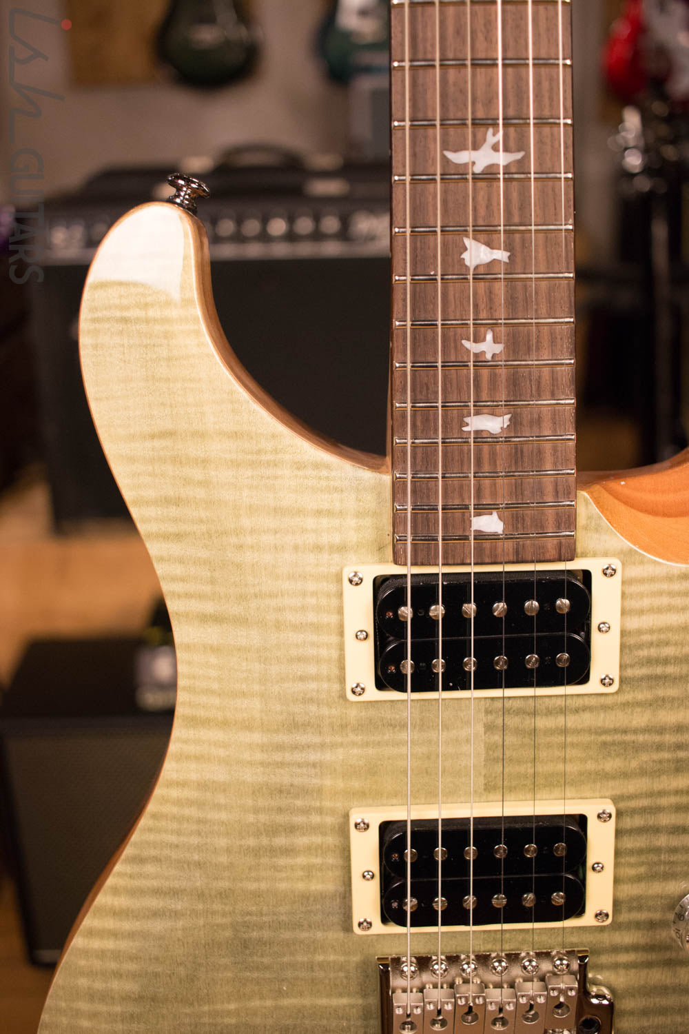 Paul Reed Smith PRS SE Custom 24 Trampas Green