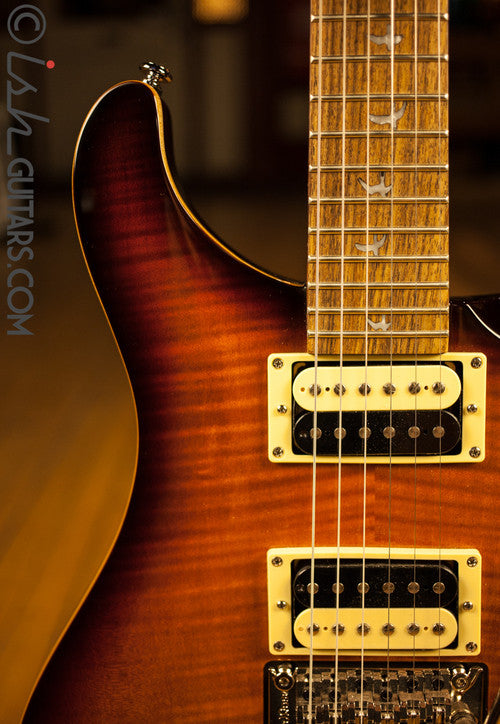 Paul Reed Smith SE Custom 24 Floyd Custom Inlays