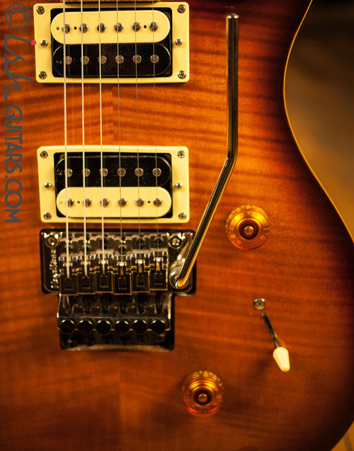 Paul Reed Smith SE Custom 24 Floyd Custom Inlays