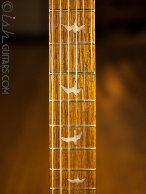 Paul Reed Smith SE Custom 24 Floyd Custom Inlays