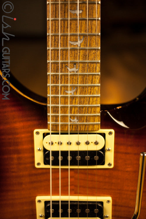 Paul Reed Smith SE Custom 24 Floyd Custom Inlays