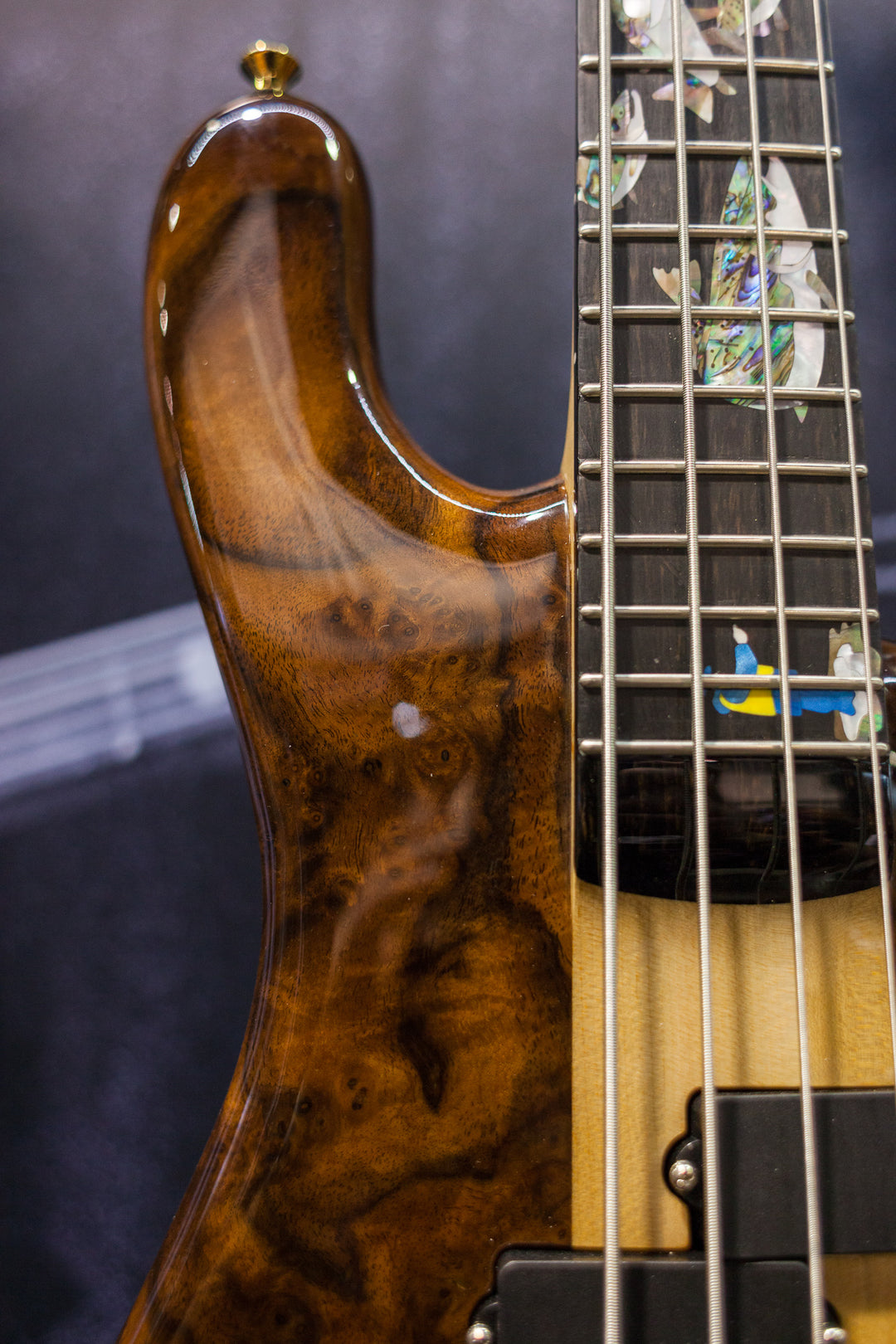 NAMM 2018 USA Spector NS-240 Limited Edition 40th Anniversary Bass 