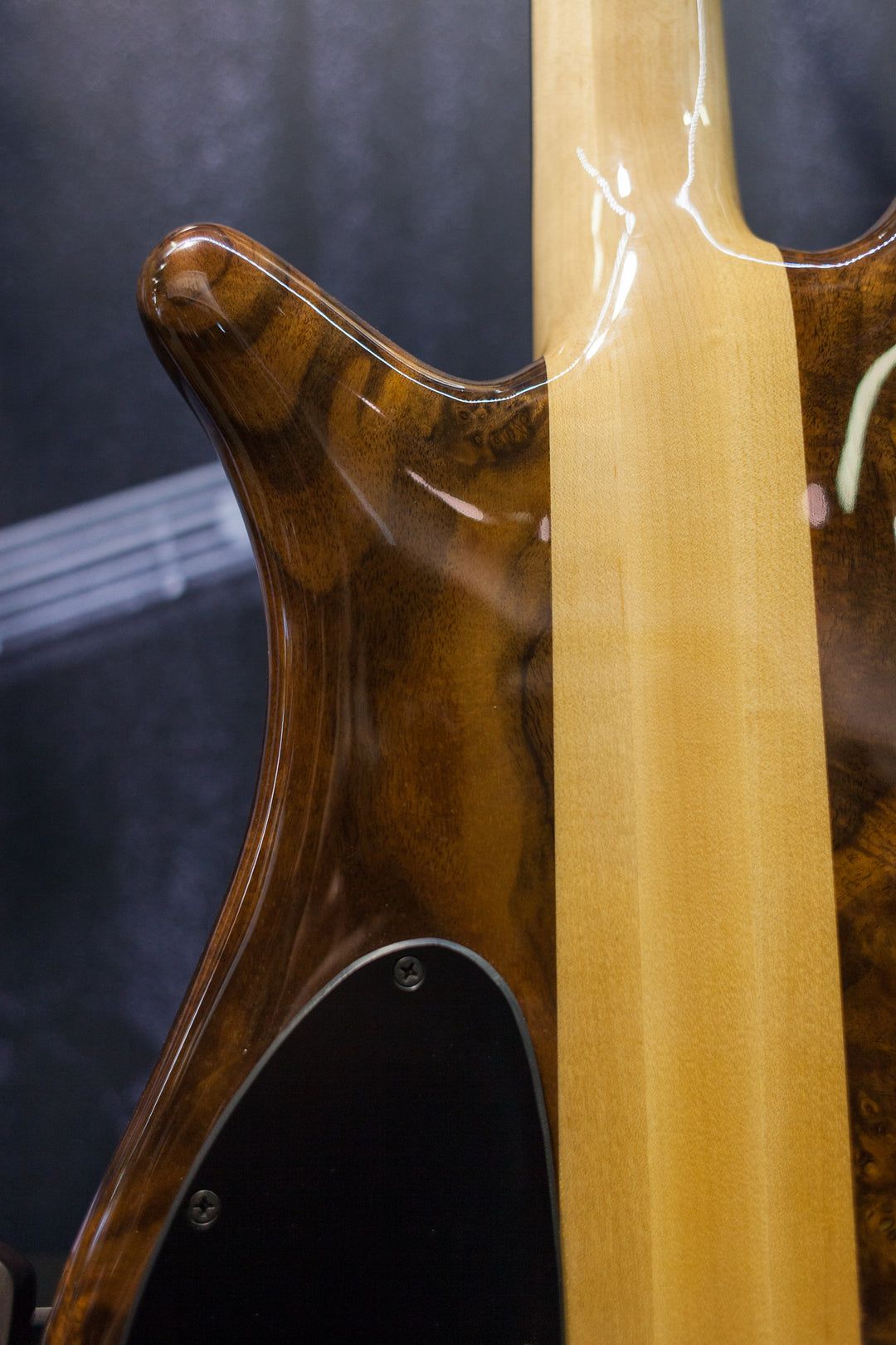 NAMM 2018 USA Spector NS-240 Limited Edition 40th Anniversary Bass 