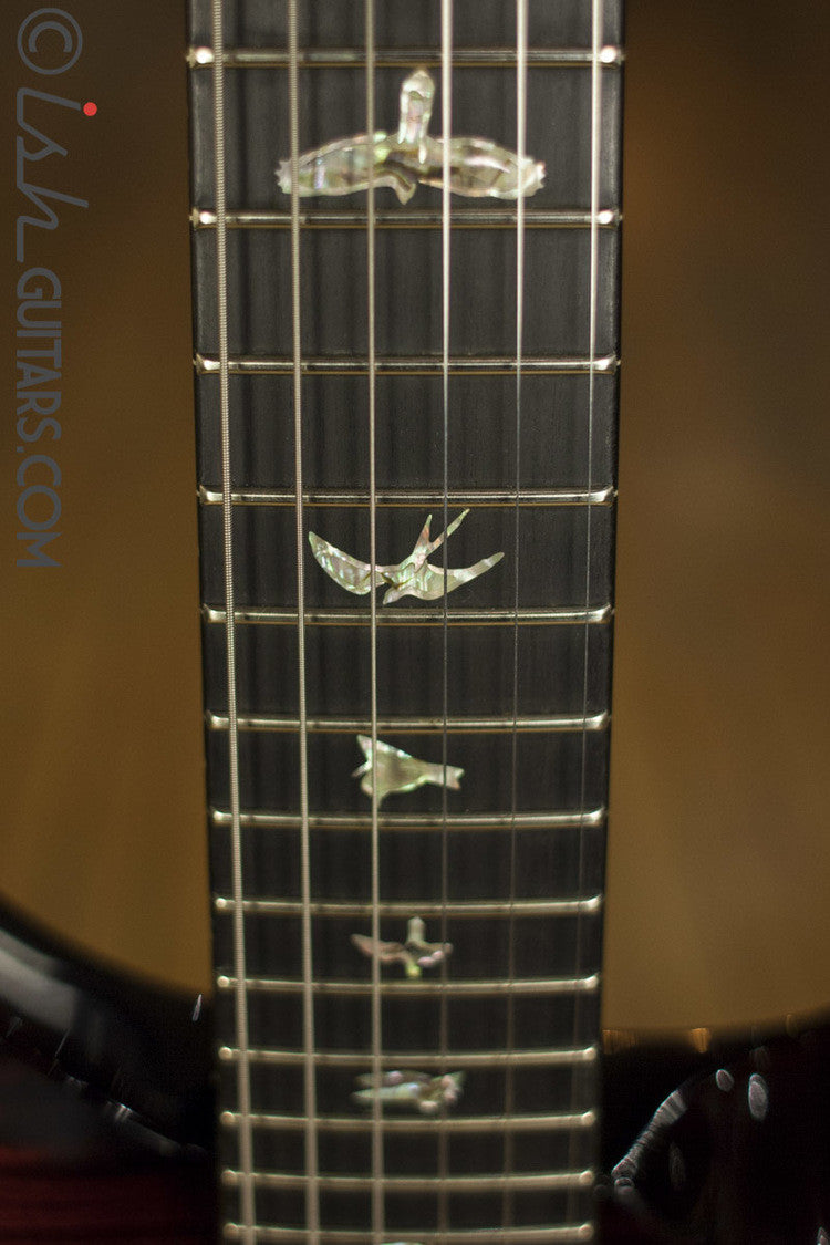 PRS Custom 24 Artist Package Custom Color