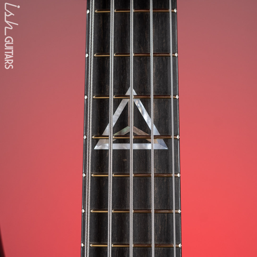 Fodera Ryan Martinie Signature 5-String Bass "Black Beauty"