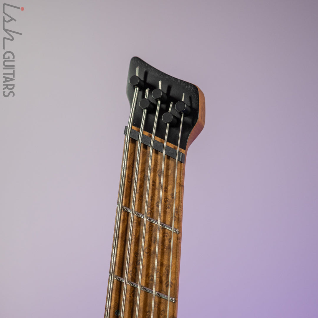 Ibanez EHB1005MS 5 String Seafoam Green Matte