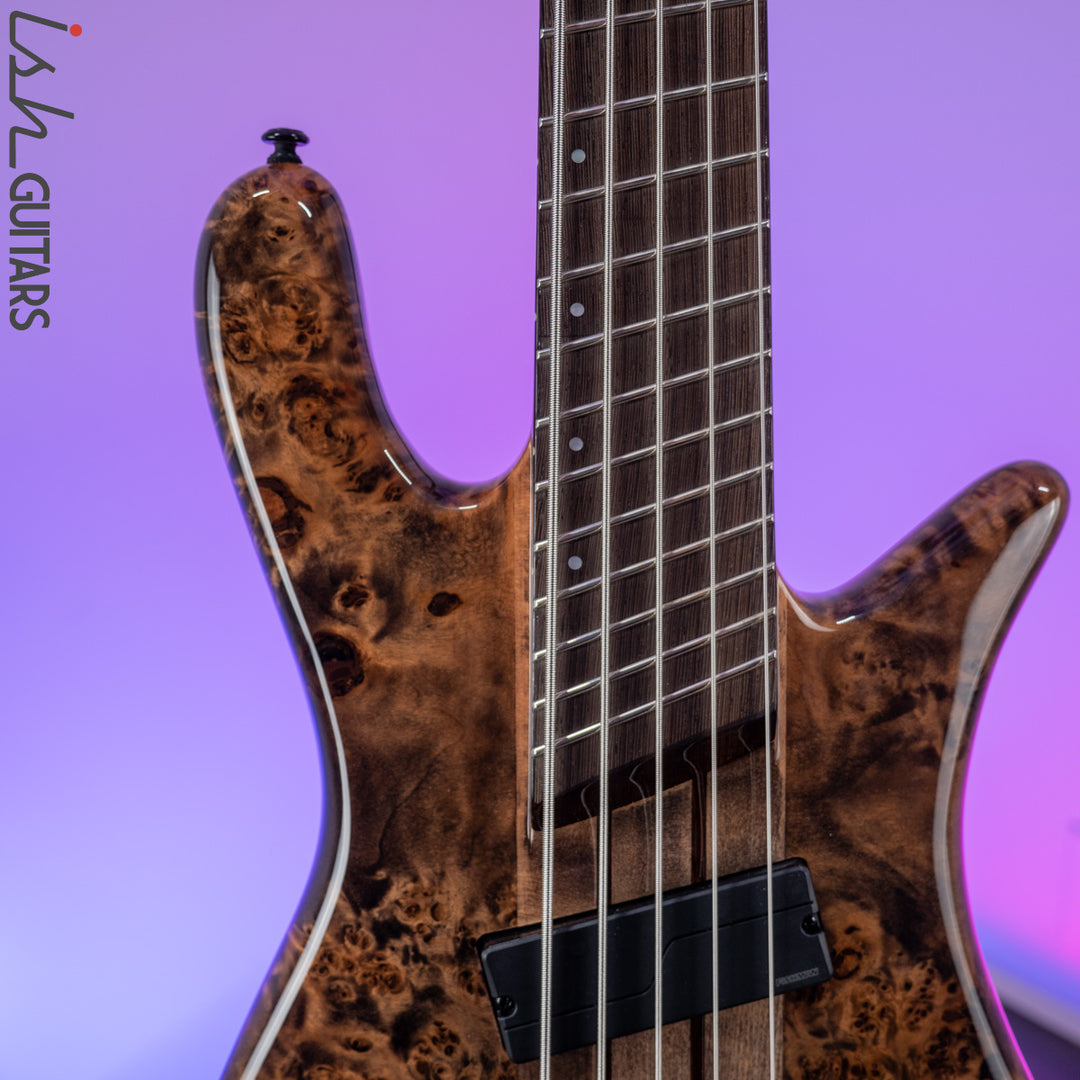 2021 Spector NS Dimension 5 Multi-Scale Super Faded Black Gloss