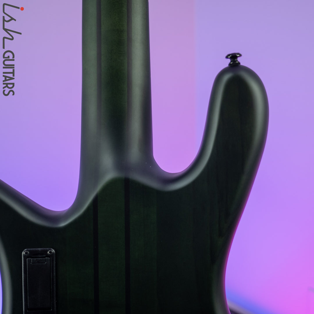 2021 Spector NS Dimension 5 Multi-Scale Haunted Moss Matte