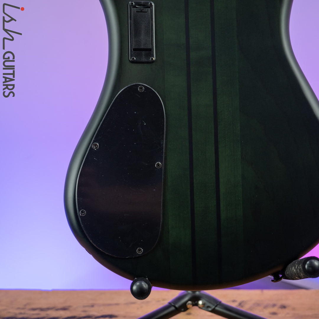 2021 Spector NS Dimension 5 Multi-Scale Haunted Moss Matte