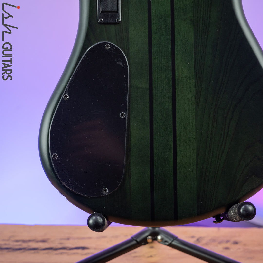 2021 Spector NS Dimension 5 Multi-Scale Haunted Moss Matte