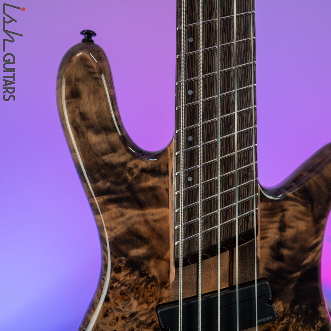 2021 Spector NS Dimension 5 Multi-Scale Super Faded Black Gloss