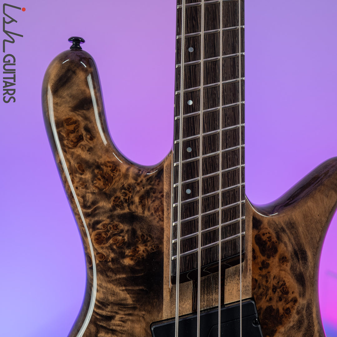 2021 Spector NS Dimension 4 Multi-Scale Super Faded Black Gloss