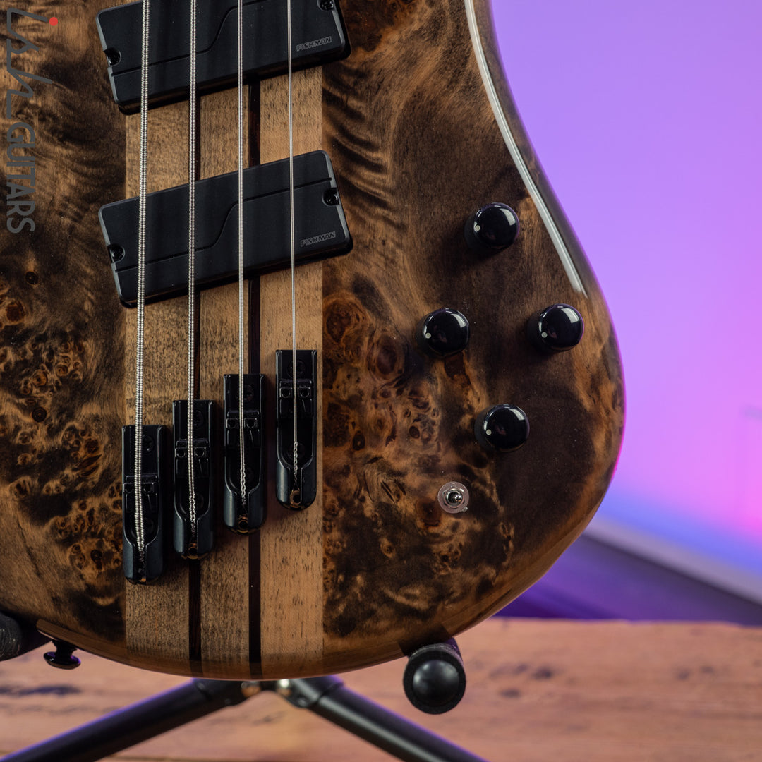2021 Spector NS Dimension 4 Multi-Scale Super Faded Black Gloss