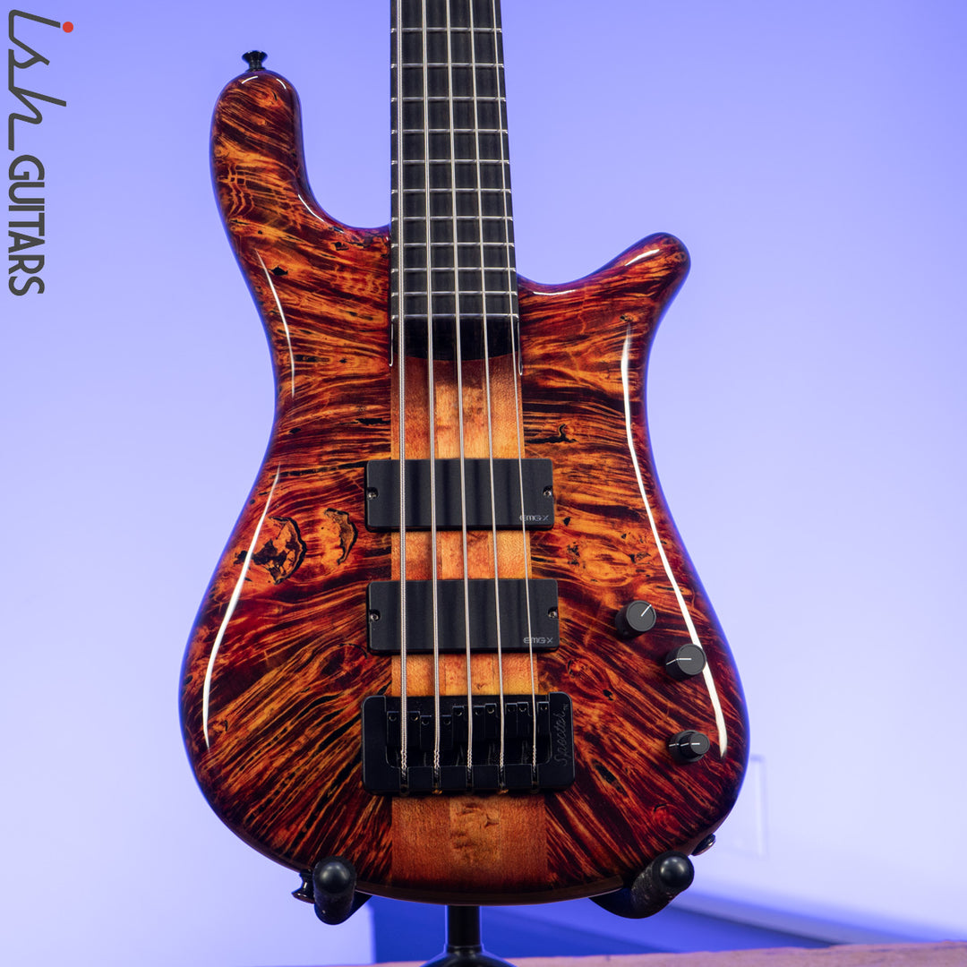 Spector NS-5XL Ale&