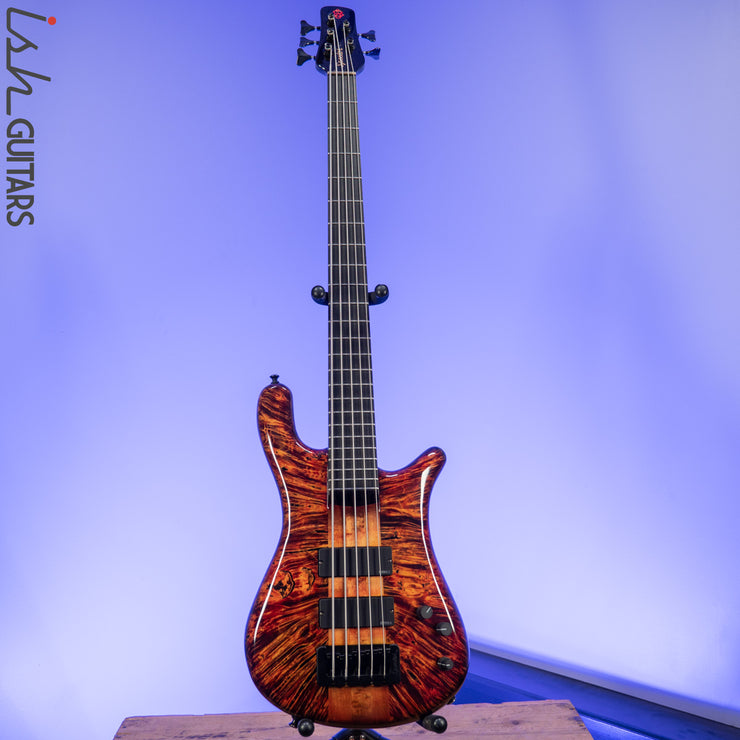 Spector NS-5XL Ale&