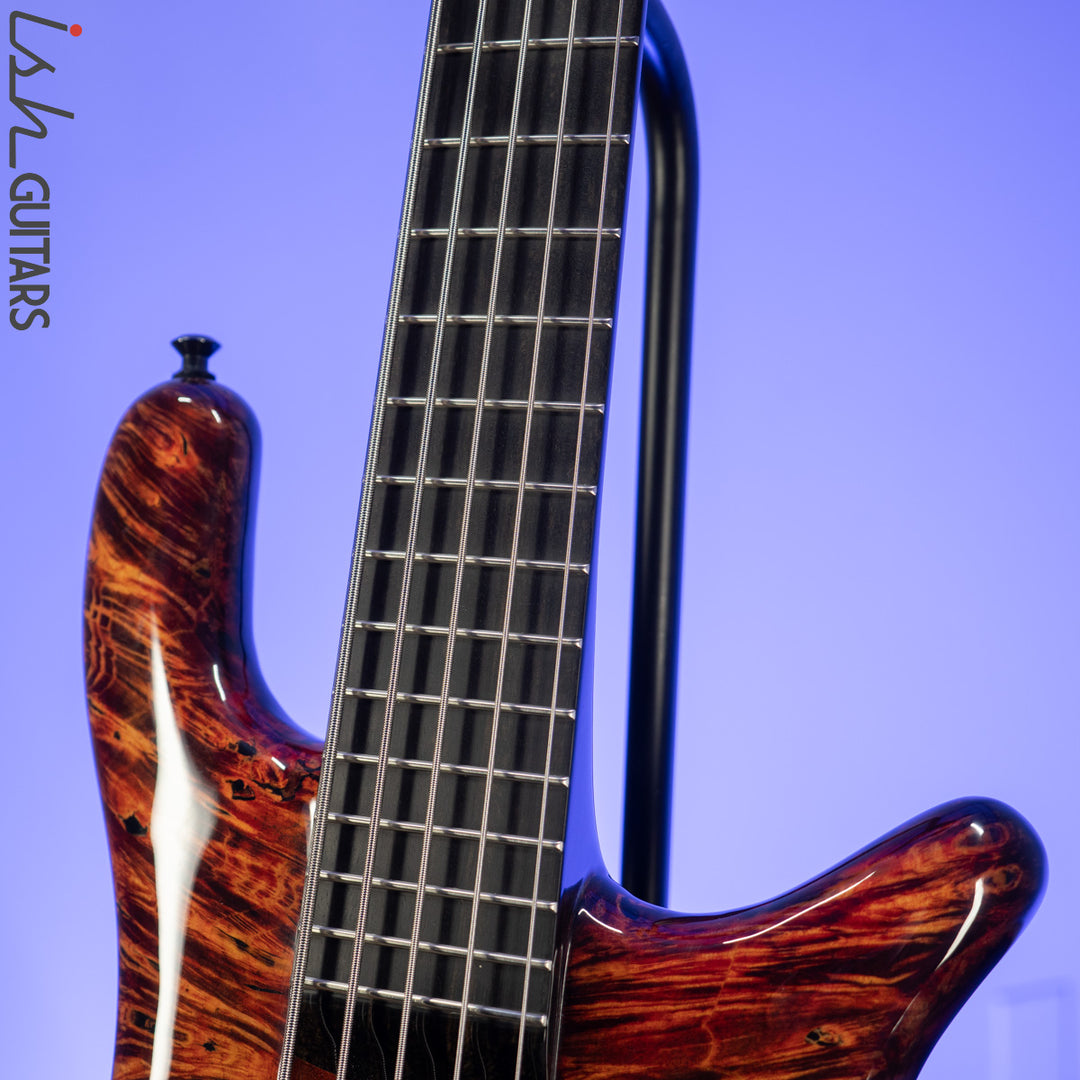 Spector NS-5XL Ale&