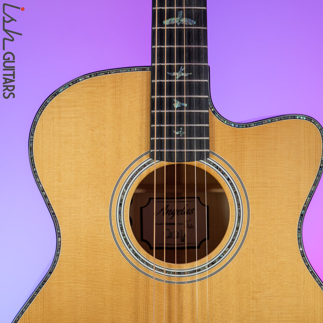 PRS SE Angelus A55EBG Black Gold Acoustic