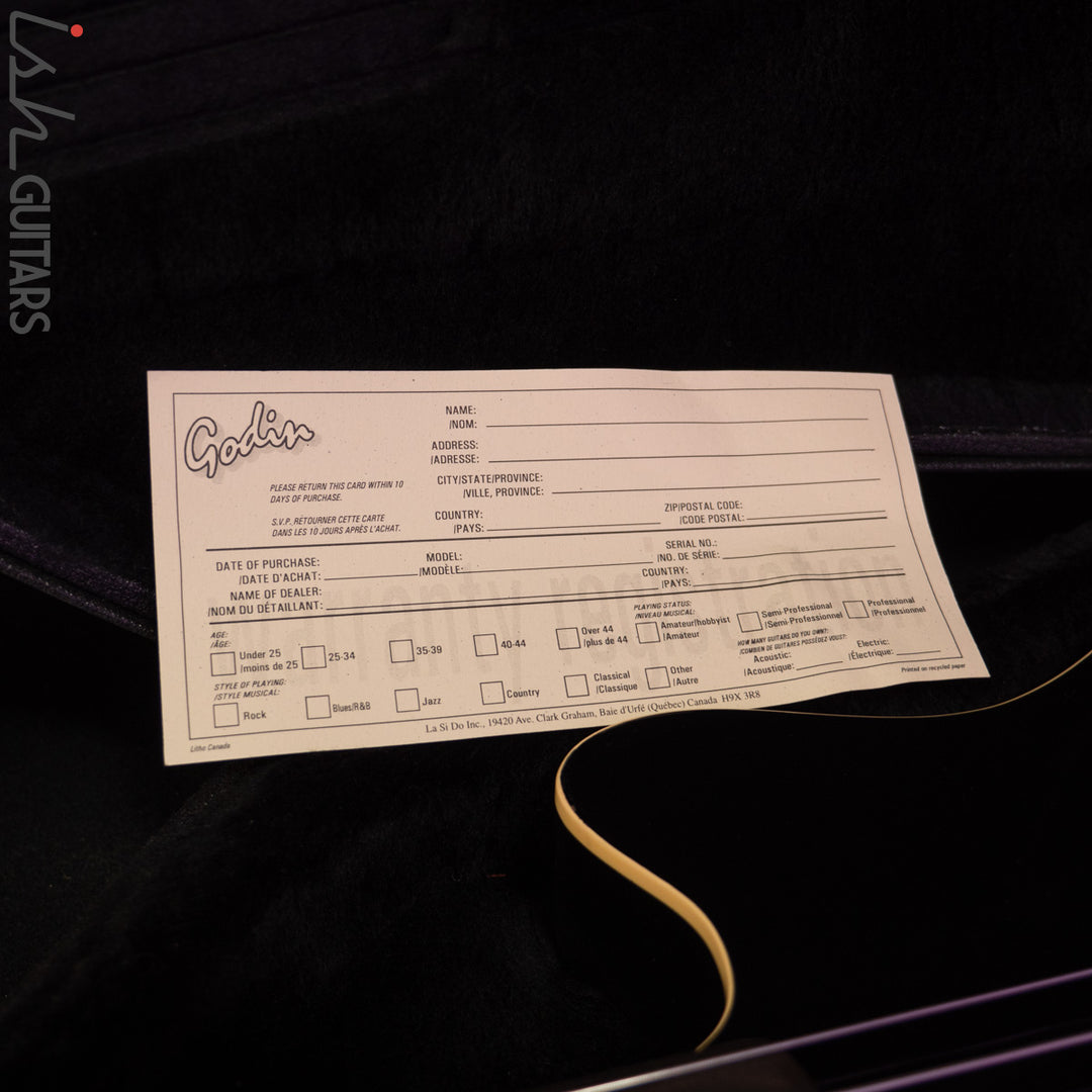 2000 Godin A5 Five-String Fretless Semi-Acoustic Bass