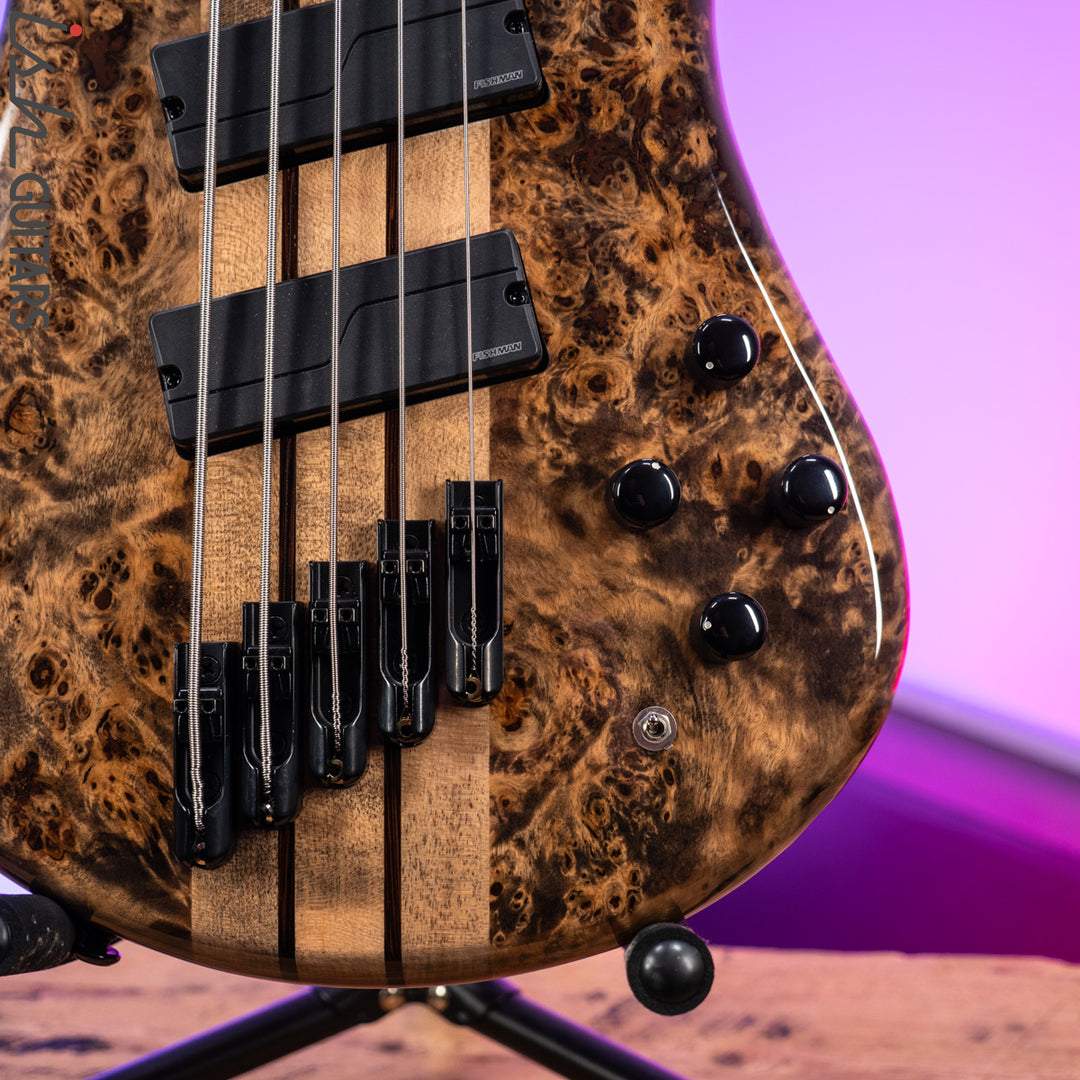 2021 Spector NS Dimension 5 Multi-Scale Super Faded Black Gloss
