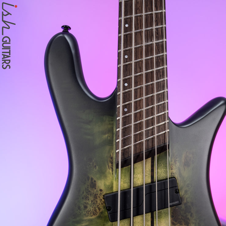 2021 Spector Dimension 5 Multi-Scale Haunted Moss Matte