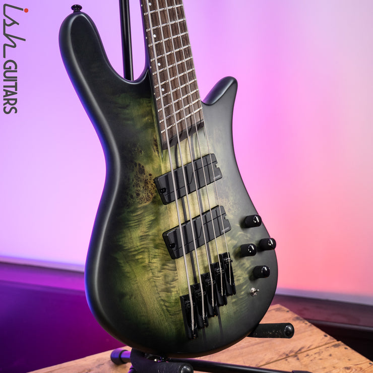 2021 Spector Dimension 5 Multi-Scale Haunted Moss Matte