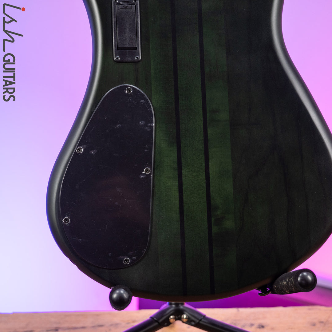 2021 Spector Dimension 5 Multi-Scale Haunted Moss Matte