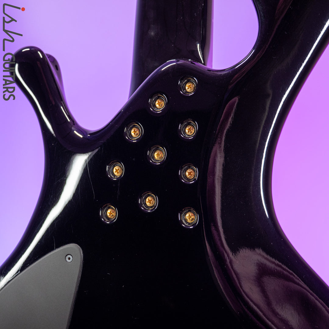 2003 Ritter Okon 5 String Bass