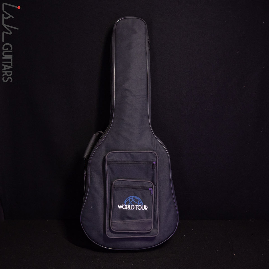 2008 Seagull Entourage Autumn Burst Acoustic