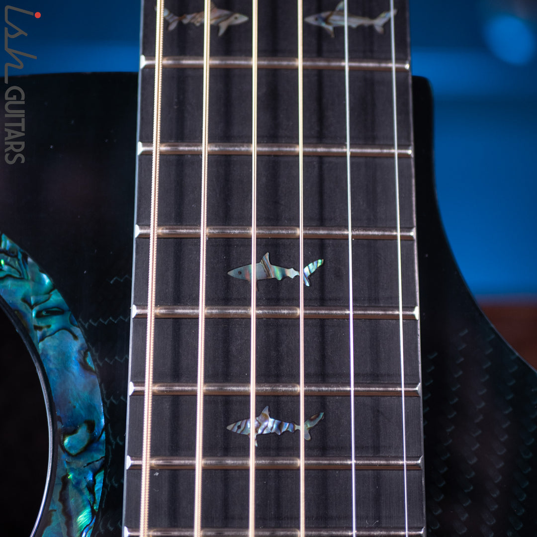 RainSong 25th Anniversary Black Ice Acoustic Guitar