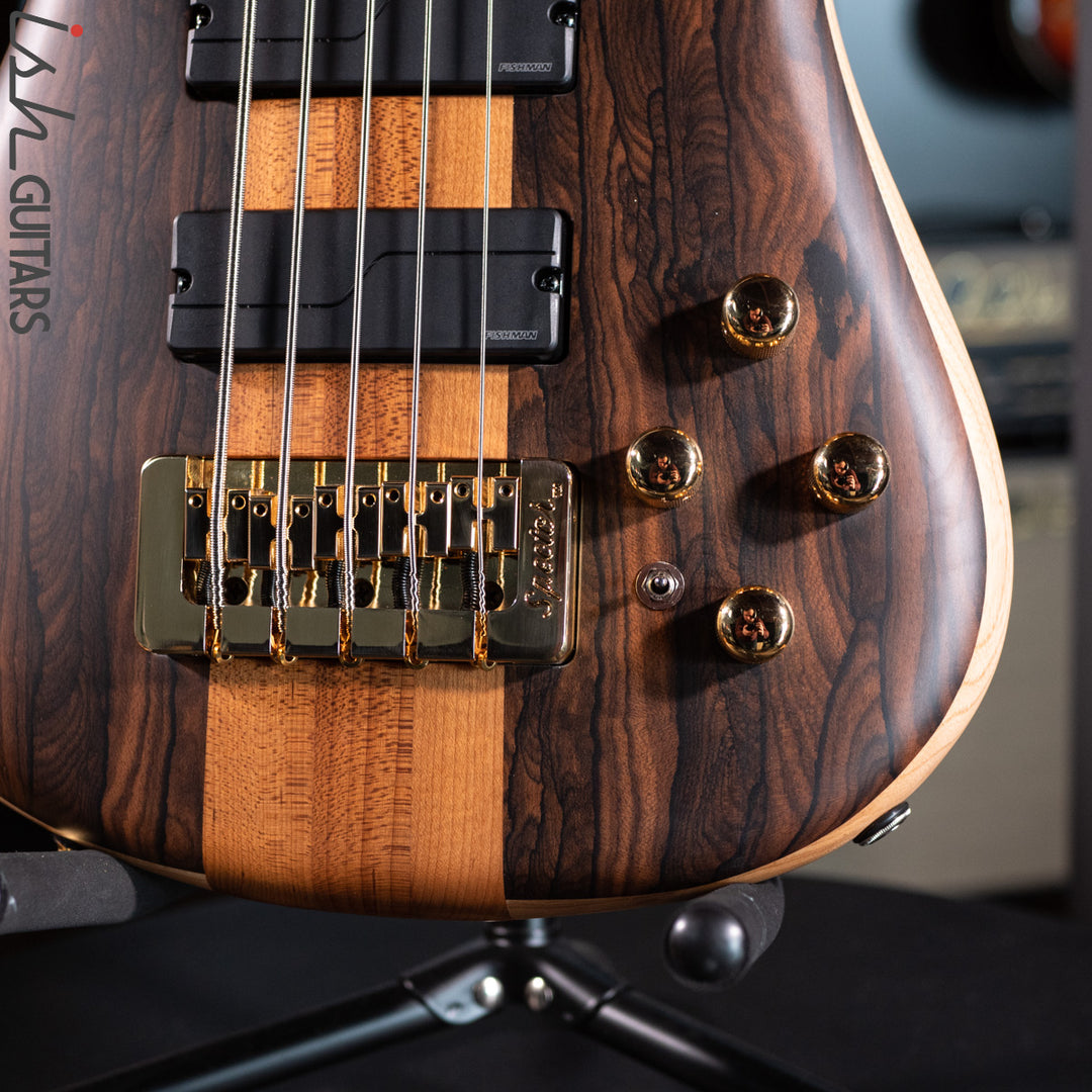Spector Custom NS-5 Ziricote