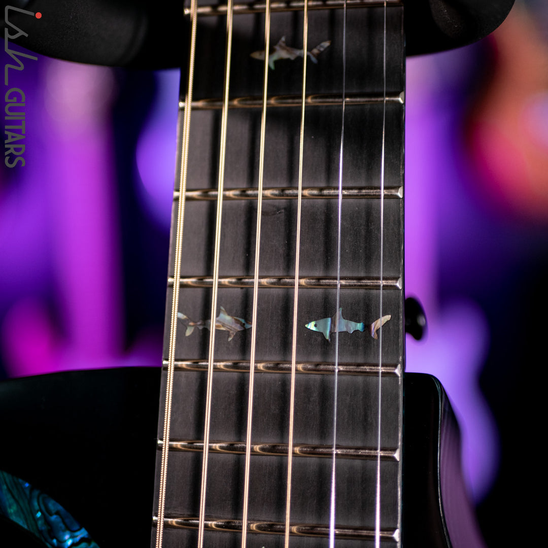 RainSong 25th Anniversary Black Ice Acoustic Guitar