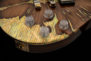 PRS Private Stock McCarty 594 Variegated Gold Leaf
